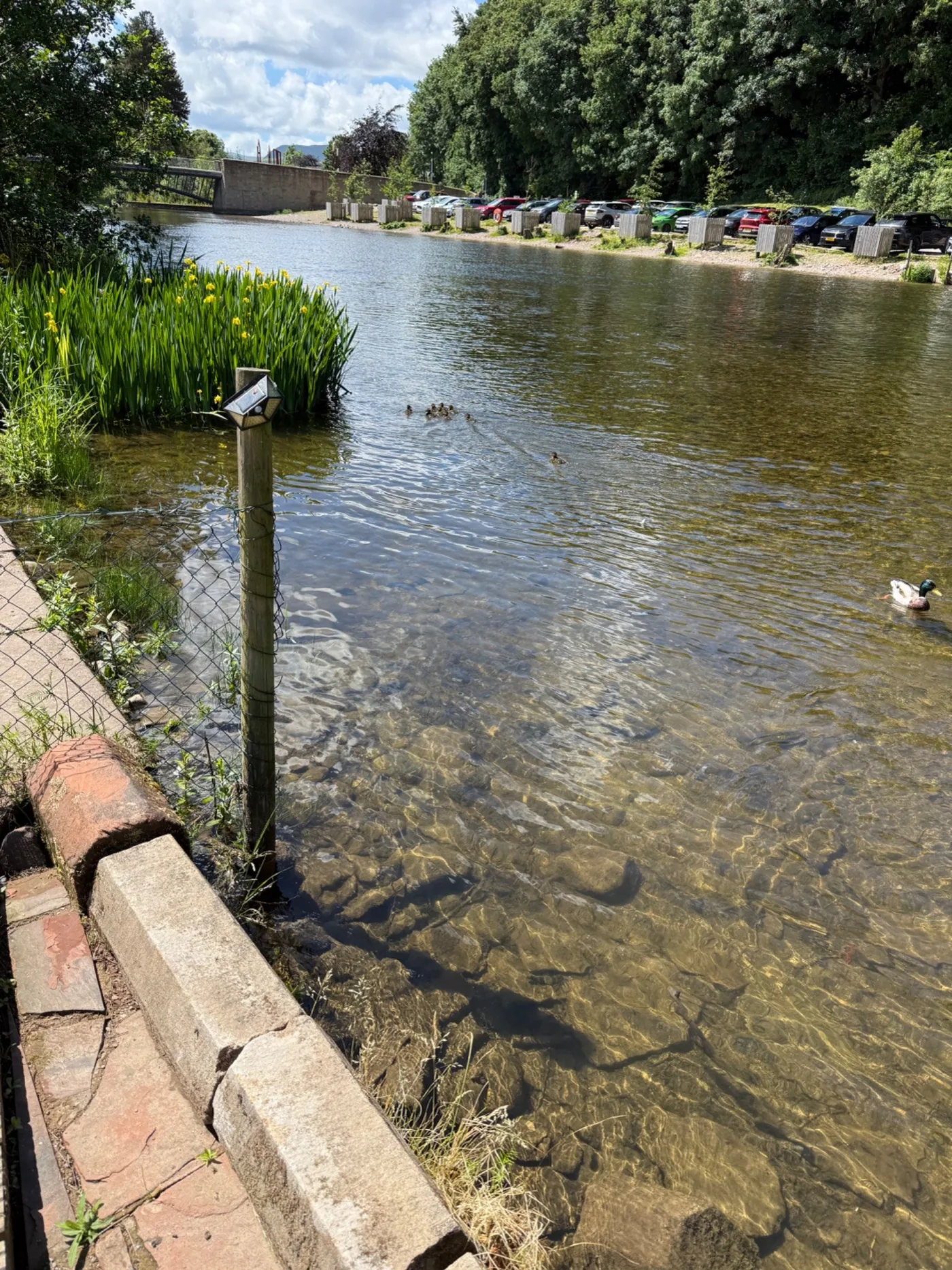 Direct access to the River Eamont